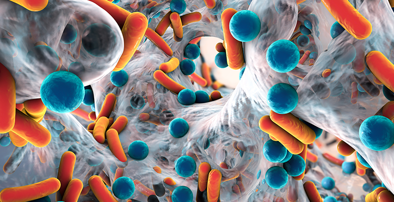 Biofilms and Their Relationship to ATP