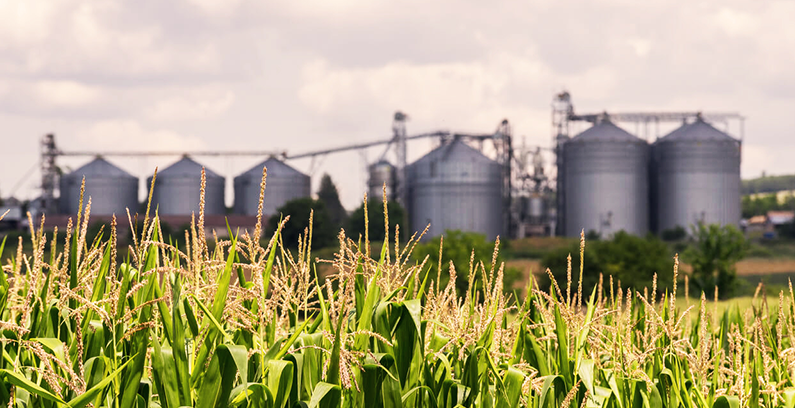 Managing Mycotoxins in Feed Mills